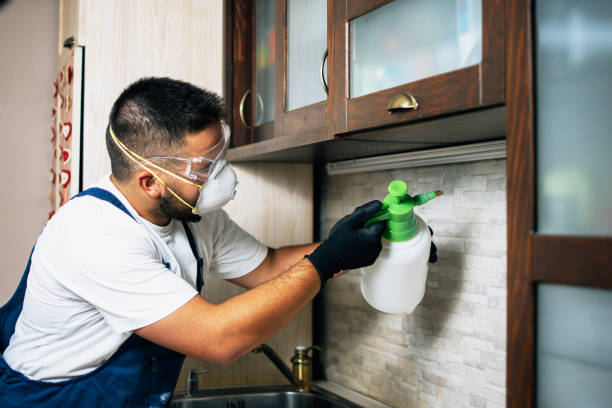 Best Wasp Removal Services  in Tacoma, WA