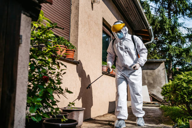 Best Affordable Pest Control Services  in Tacoma, WA