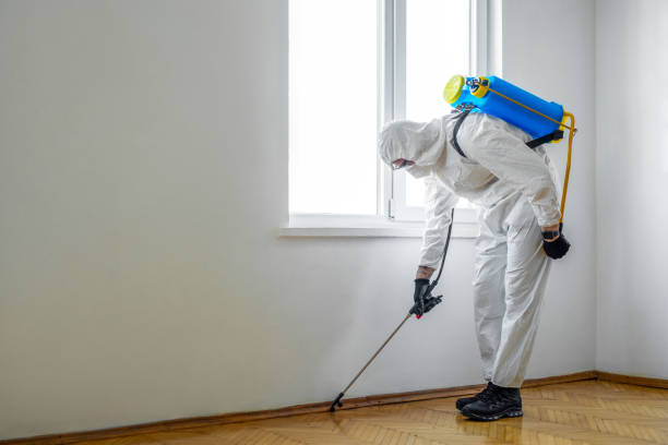 Best Best Pest Control Companies  in Tacoma, WA