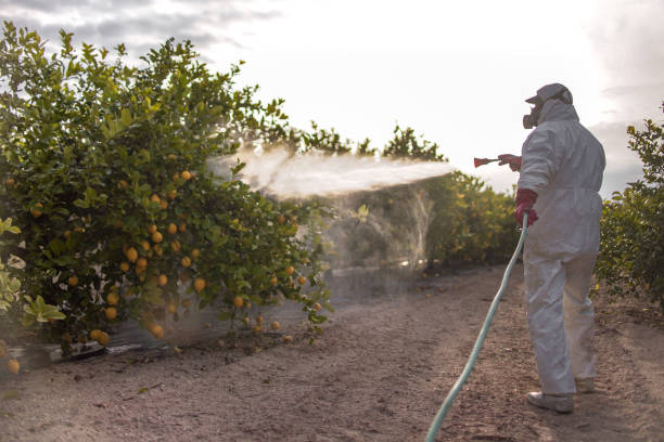 Best Pest Inspection Near Me  in Tacoma, WA