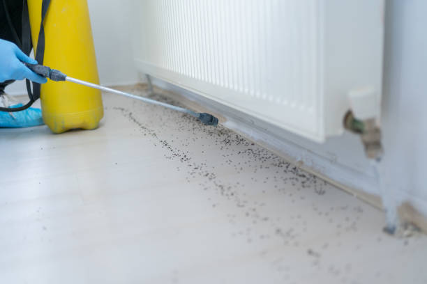  Tacoma, WA Pest Control Pros